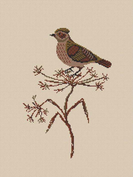 Lark - cross stitch pattern