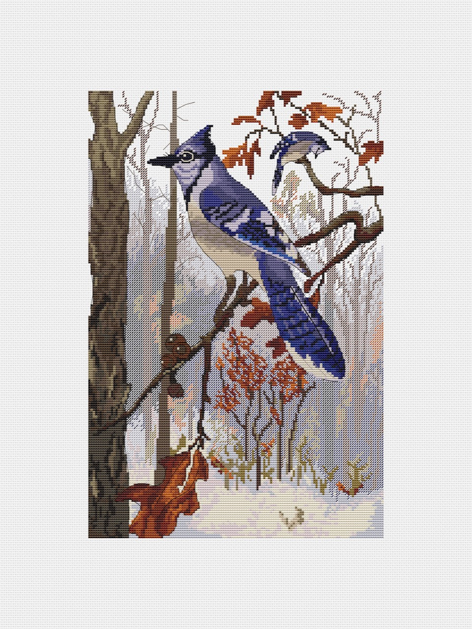 Blue jay cross stitch pattern