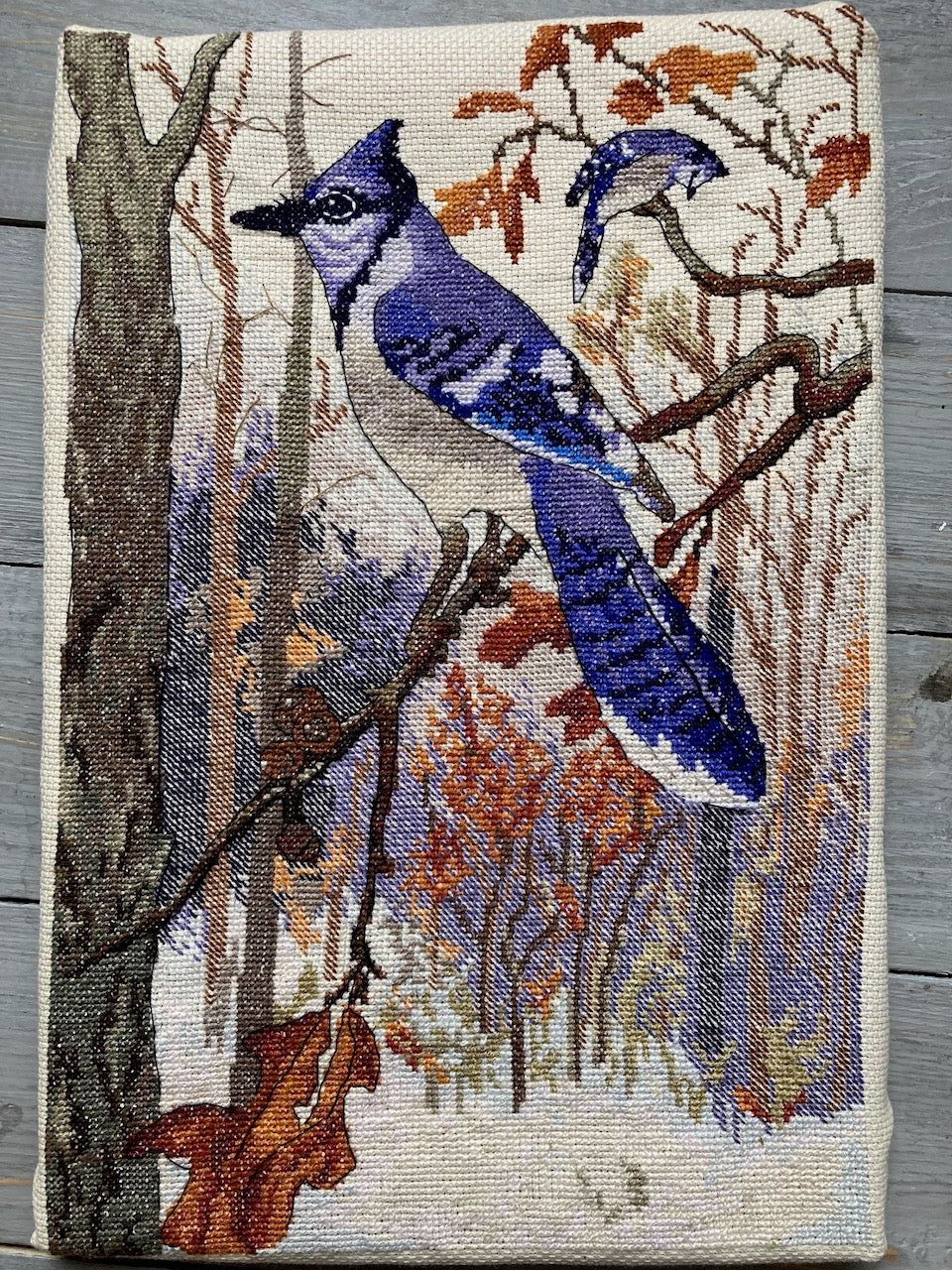 Blue jay cross stitch pattern finish