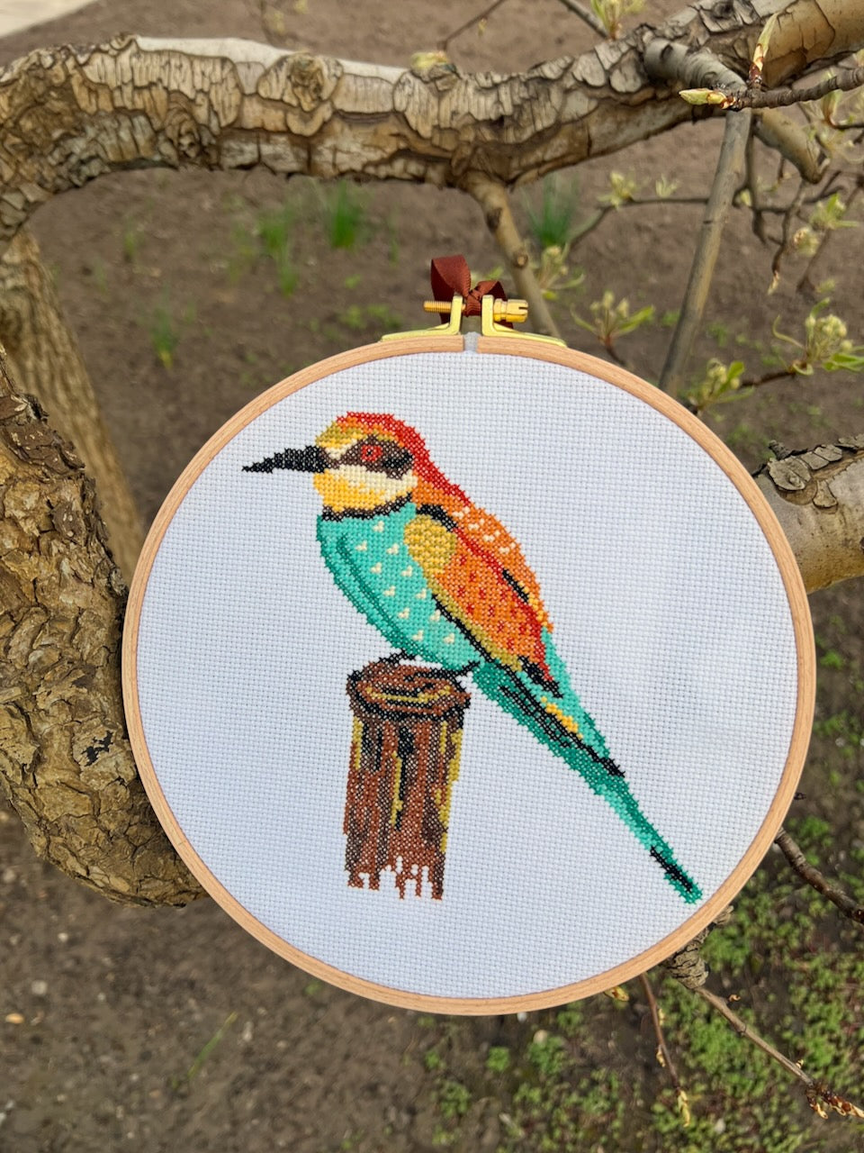 Bee Eater - cross stitch pattern